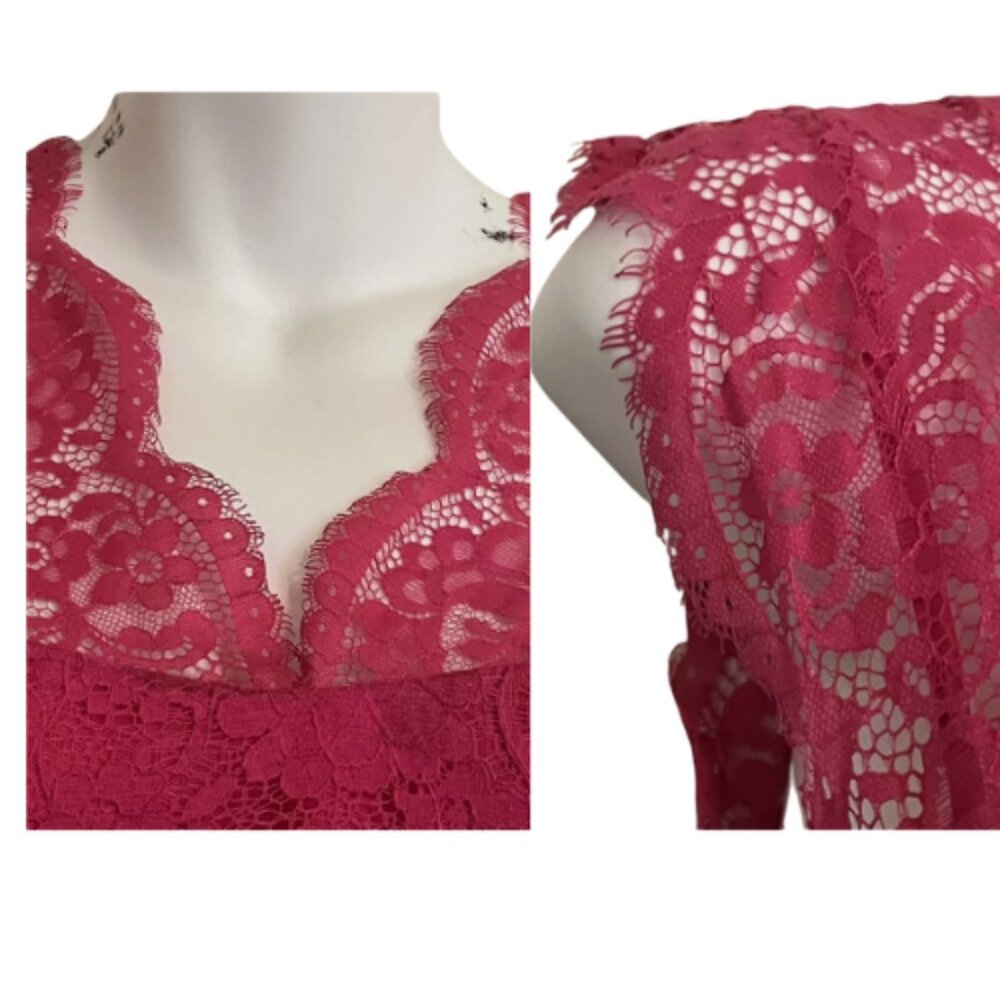 BCBG Max Azria Devom Begonia Pink Lace Overlay Sheer Lace Midriff Sleeves - Picture 3 of 11